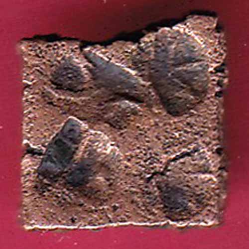 RARE” CENTRAL INDIA VIDISHA ERAN SMALL PUNCHMARK COPPER COIN –@HUB2404