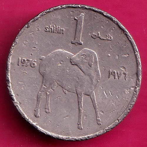 Somalia 1 shilling, 1984 rare coin:-@hub4691