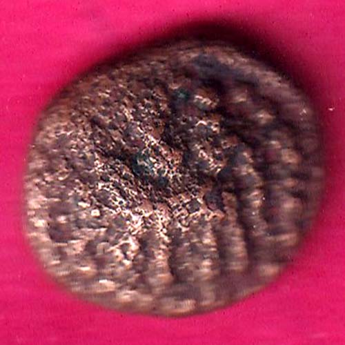 Ancient Pandya dynasty rare coin :- OO1324