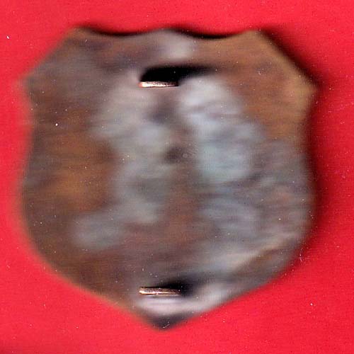 batch : octraynaakedaar alirajpur nagarpaalika –oo4607