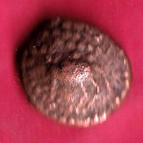 SOUTH INDIA COPPER COIN–@HUB2285