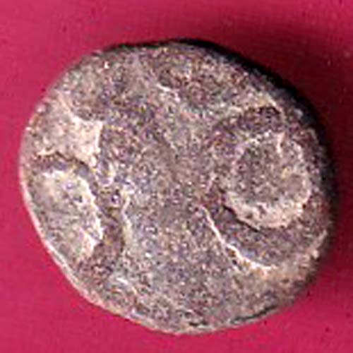 medival coins of india ishvaku dynasty animal potraite lead coin–@HUB4604